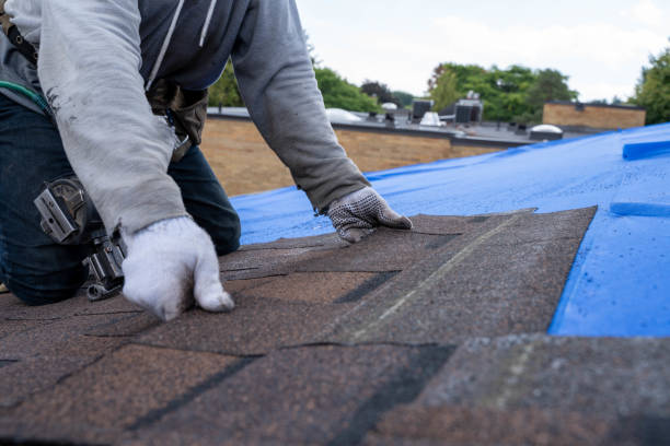 Best Roof Waterproofing Services  in Lees Summit, MO