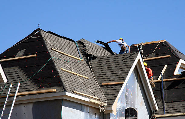 Best Roof Maintenance Services  in Lees Summit, MO